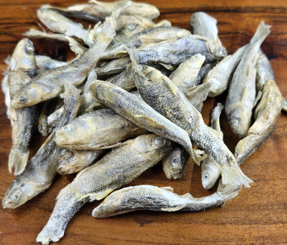 Shepherd Boy Farms minnow-treat-closeup: freeze-dried morsel with preserved nutrients