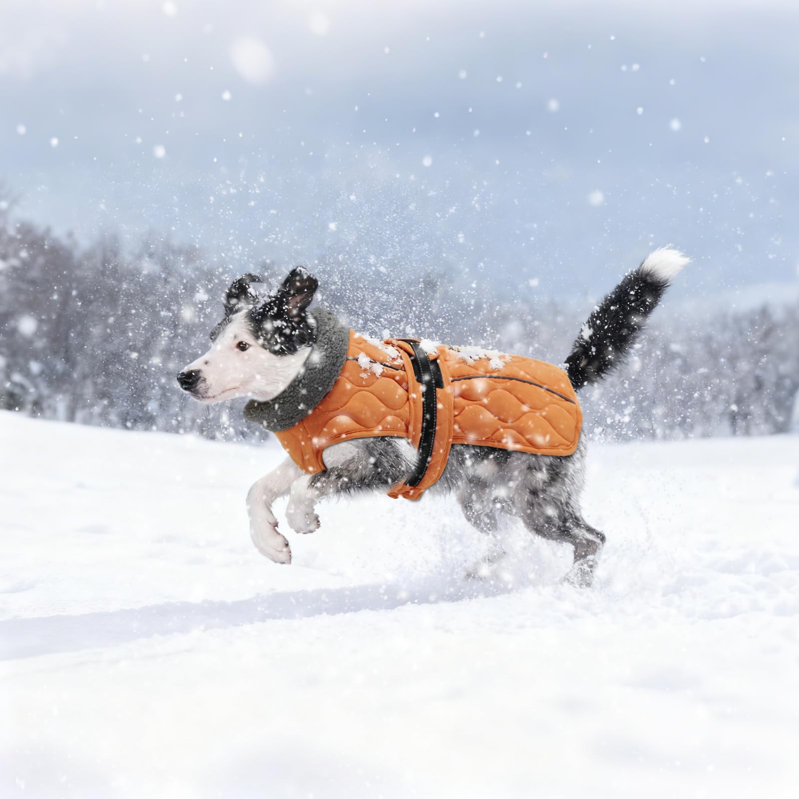 Sheripet abrigo de invierno: perfecto para paseos nocturnos gracias a la visibilidad