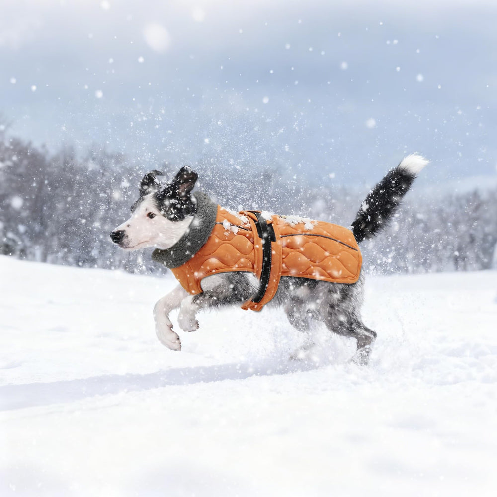 Sheripet abrigo de invierno: perfecto para paseos nocturnos gracias a la visibilidad