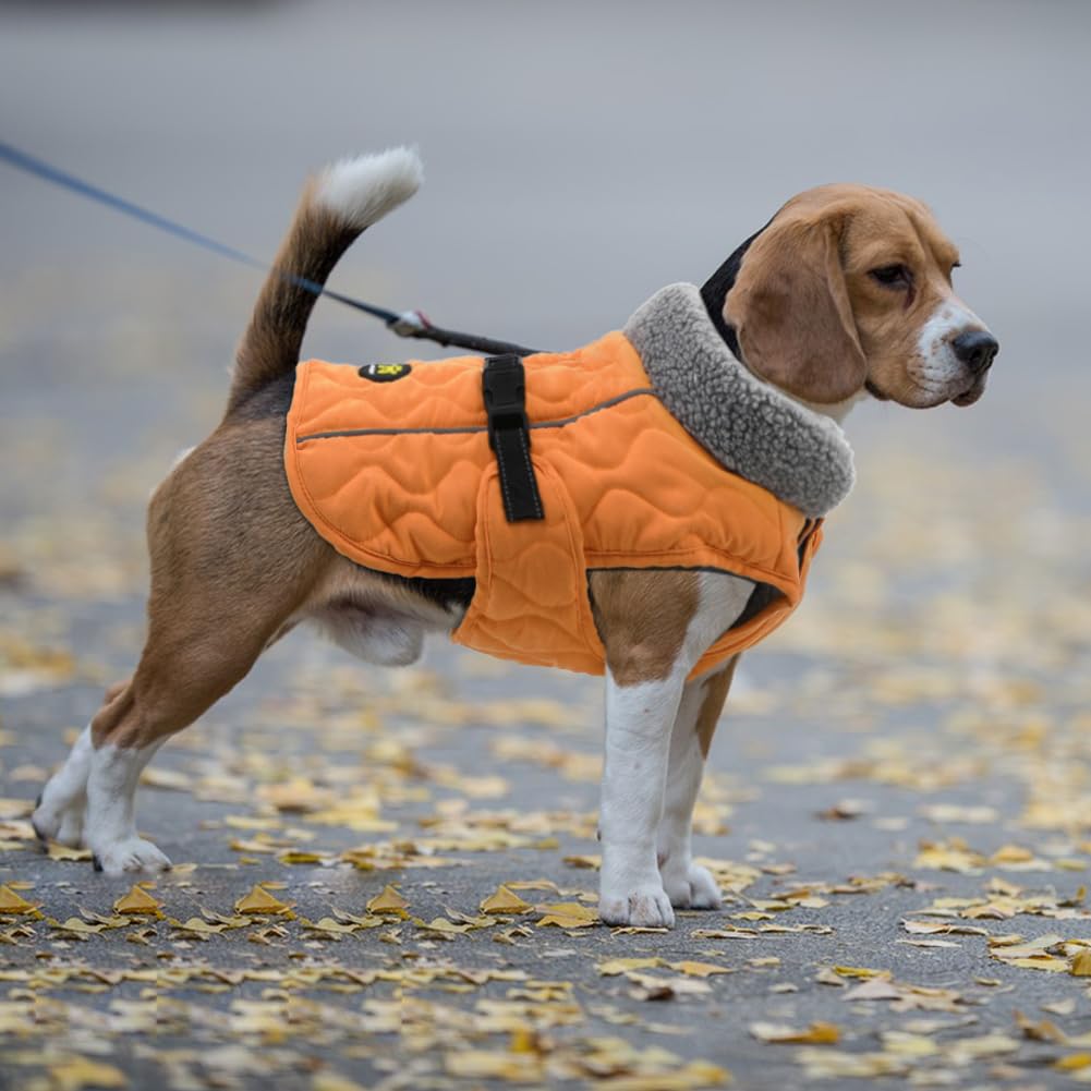 Sheripet dog coat in snow walk demonstrates durable water resistance and mobility