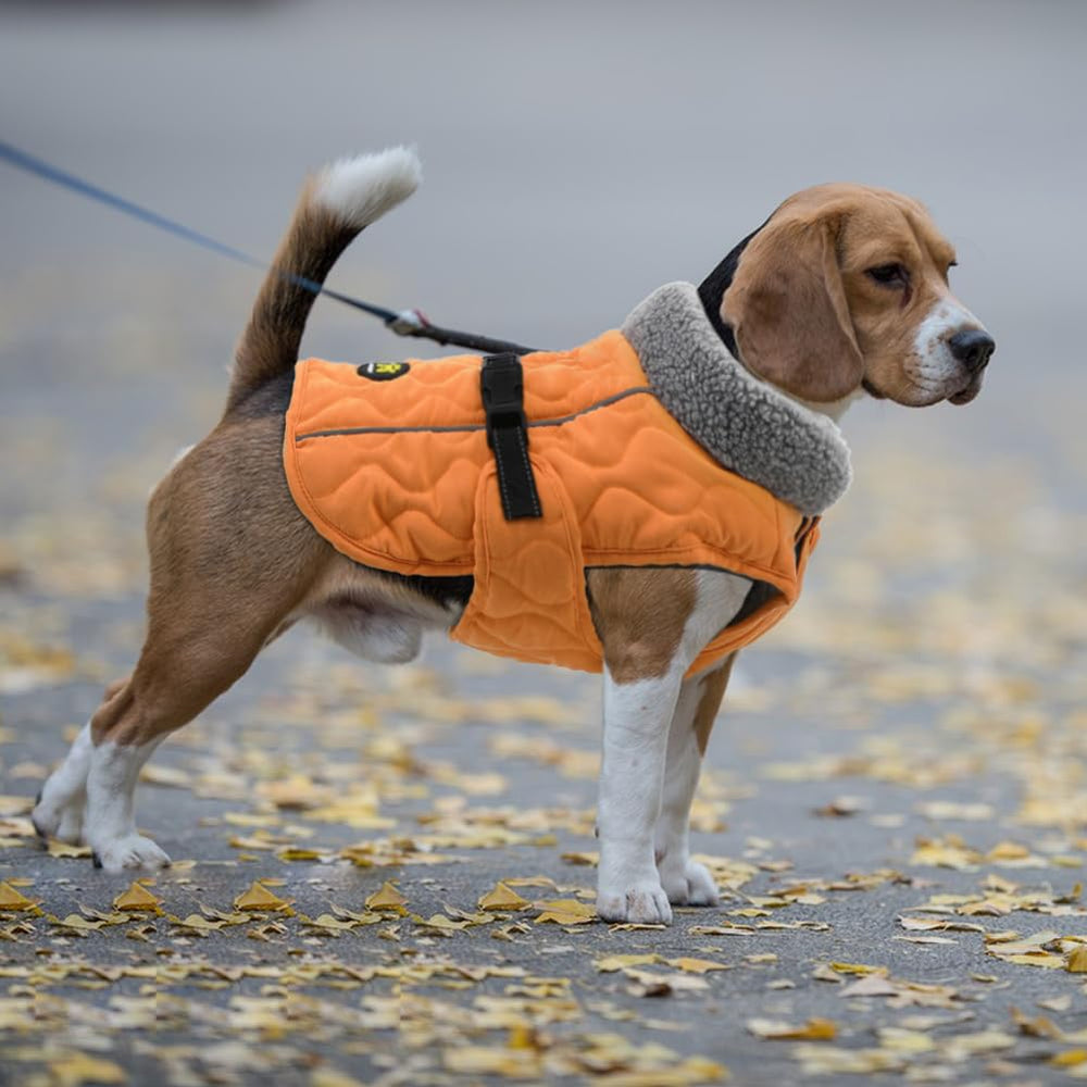 Sheripet dog coat in snow walk demonstrates durable water resistance and mobility