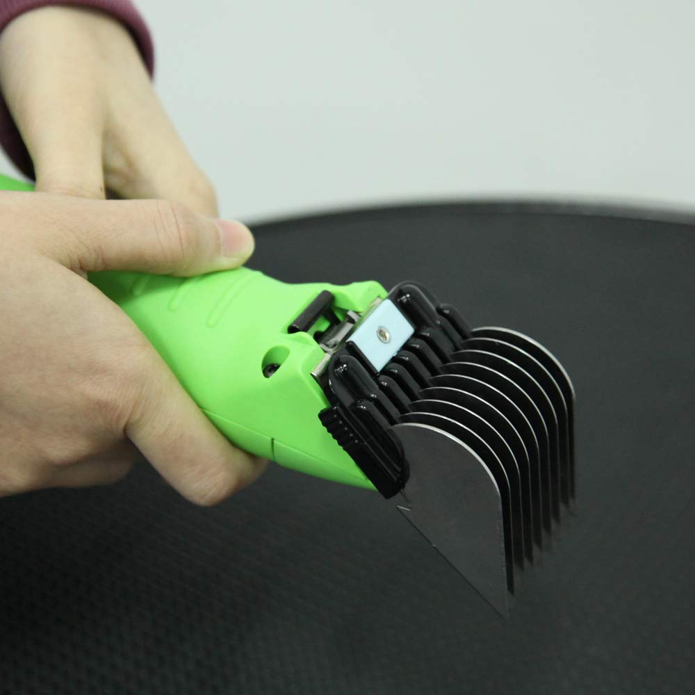Shernbao storage box keeps all eight combs organized for easy grooming sessions