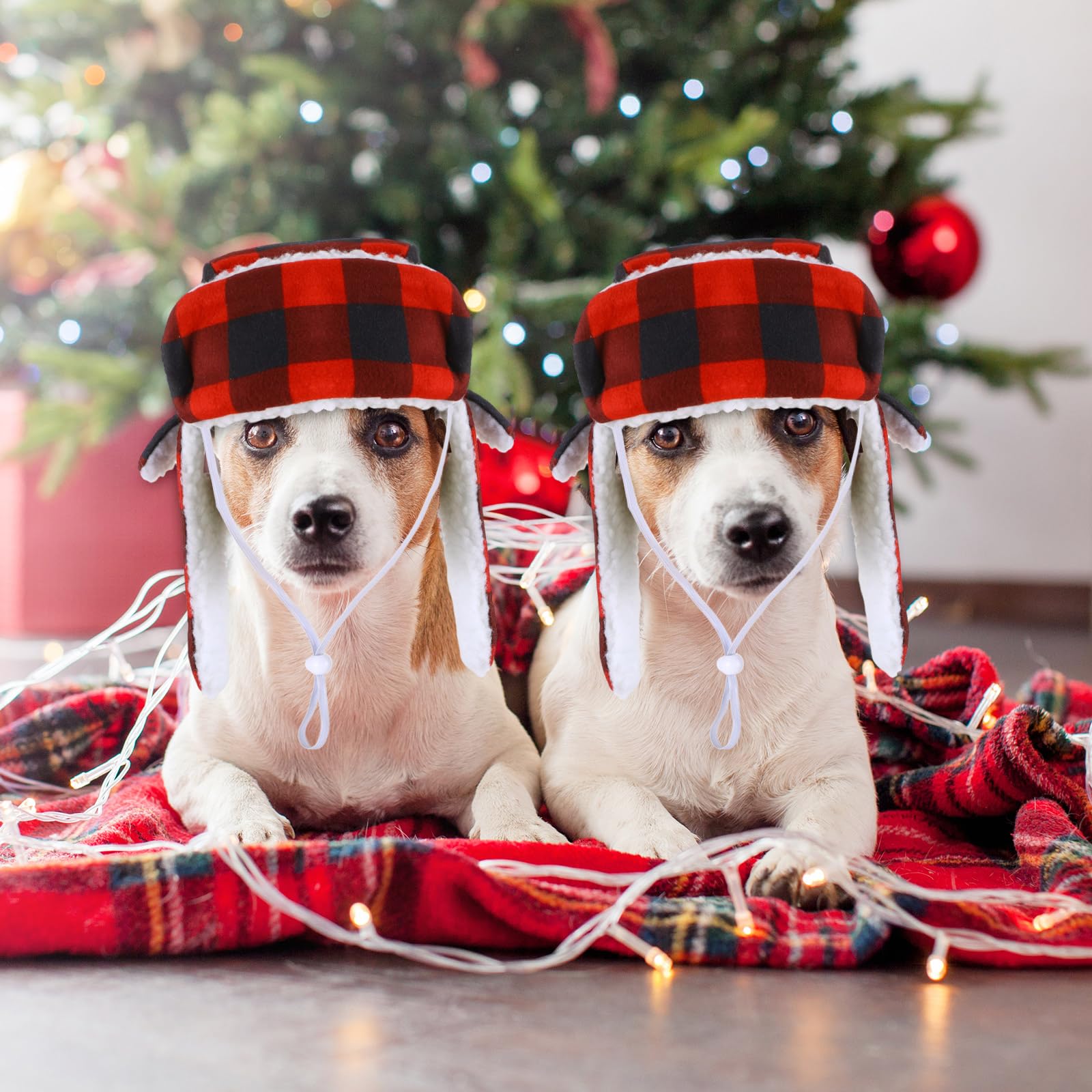 Sherr Christmas dog hat set two-piece package for daily wear