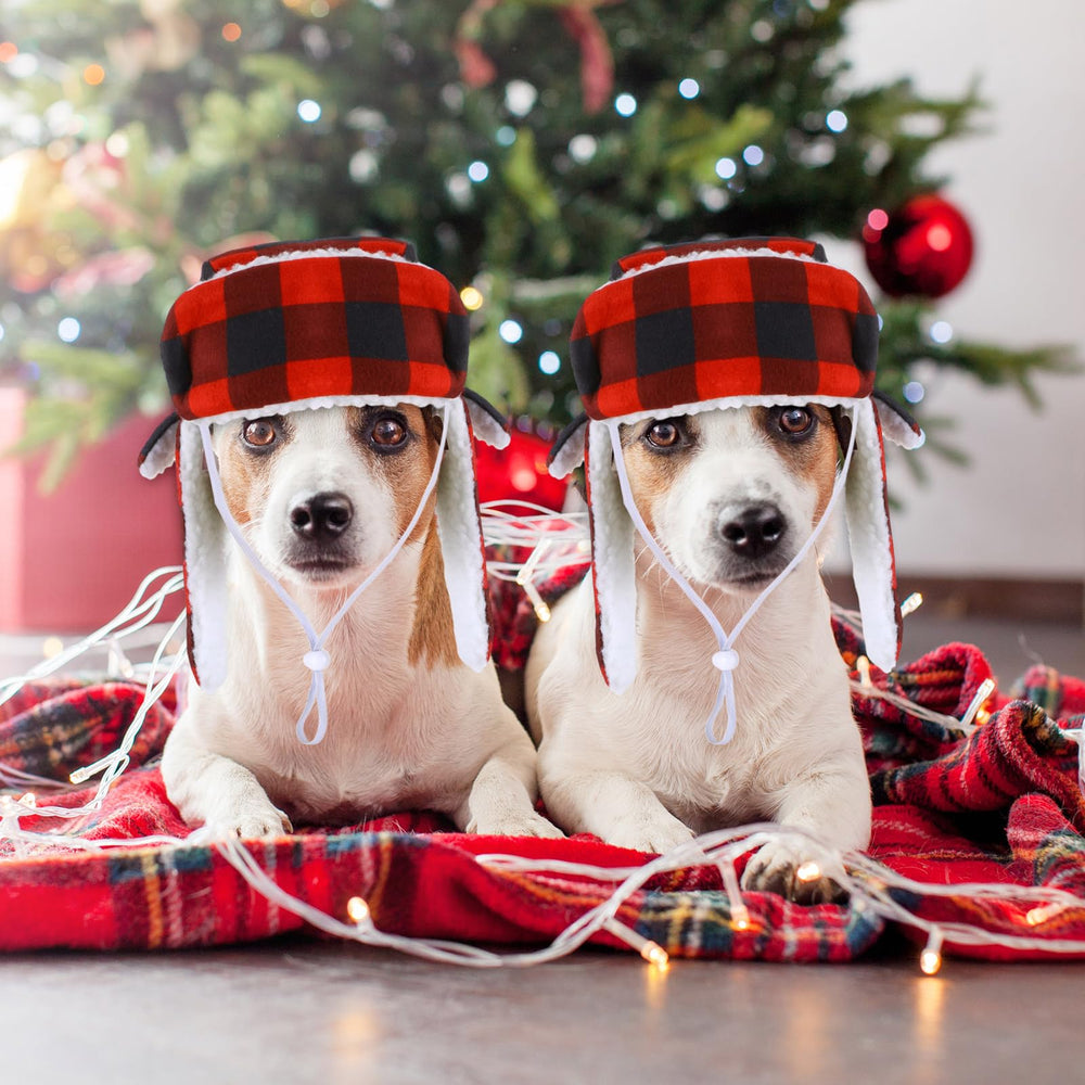 Sherr Christmas dog hat set two-piece package for daily wear