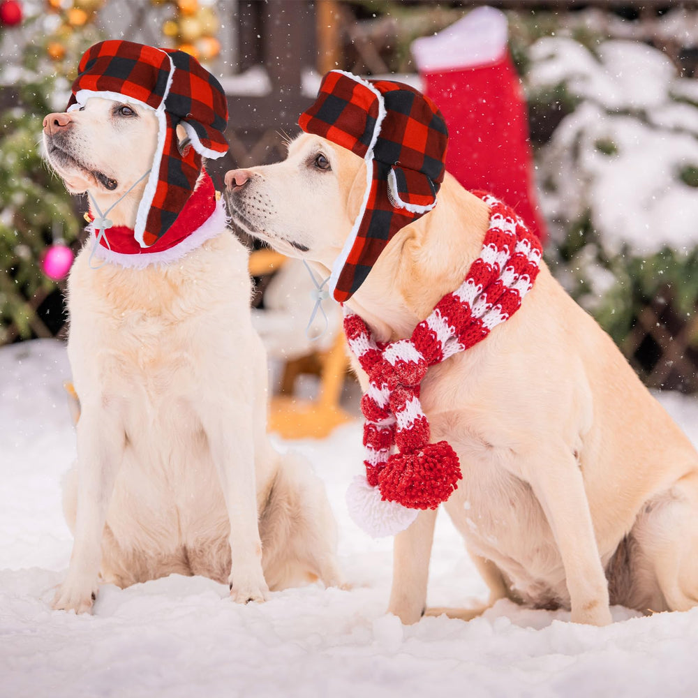 Sherr dog hat adjustable strap closure shows secure fit
