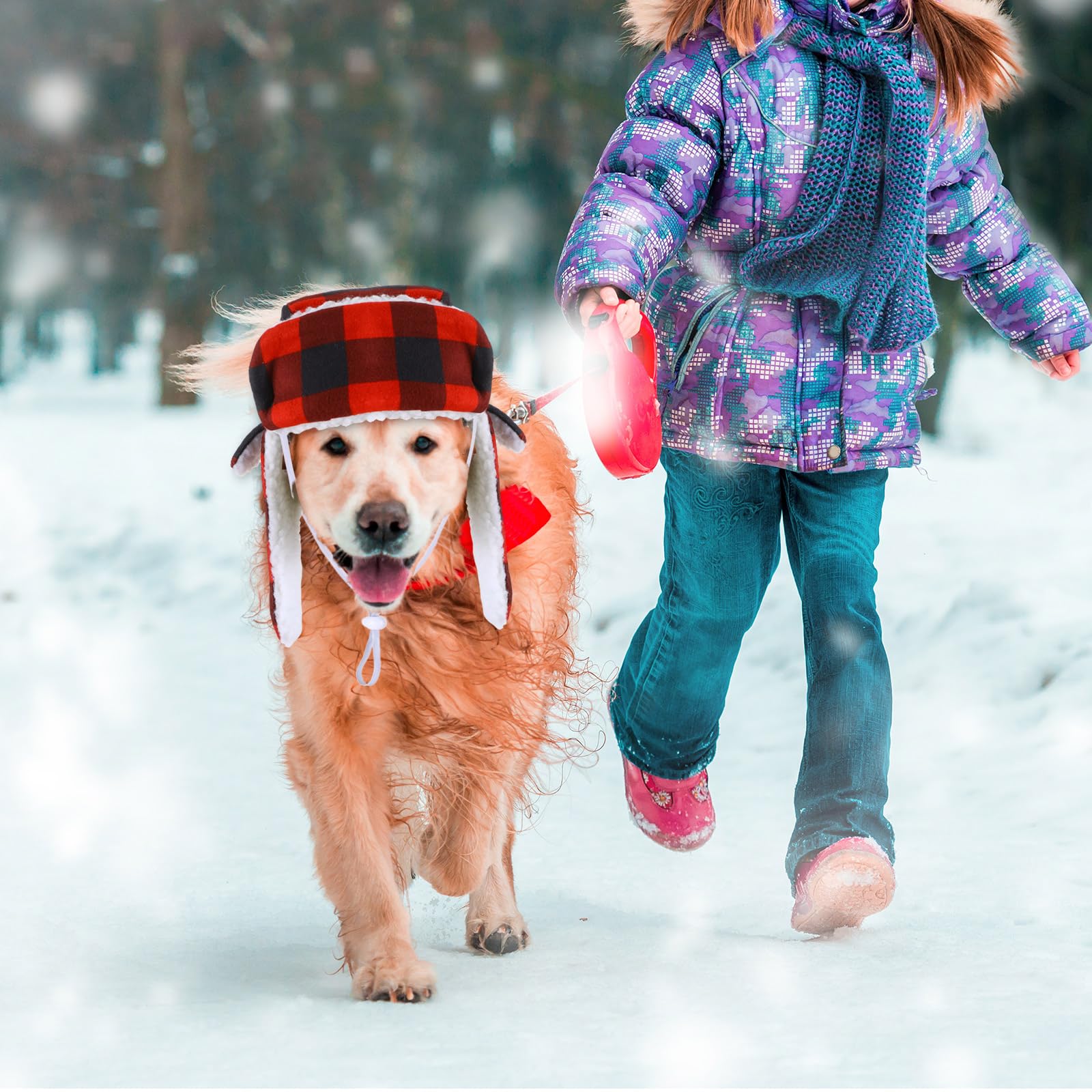 Sherr dog hat worn during walk outdoors for versatile festive use