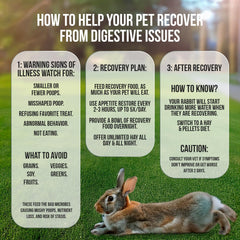 Sherwood Pet Health bulk recovery food small bag featured for post-illness nutrition.