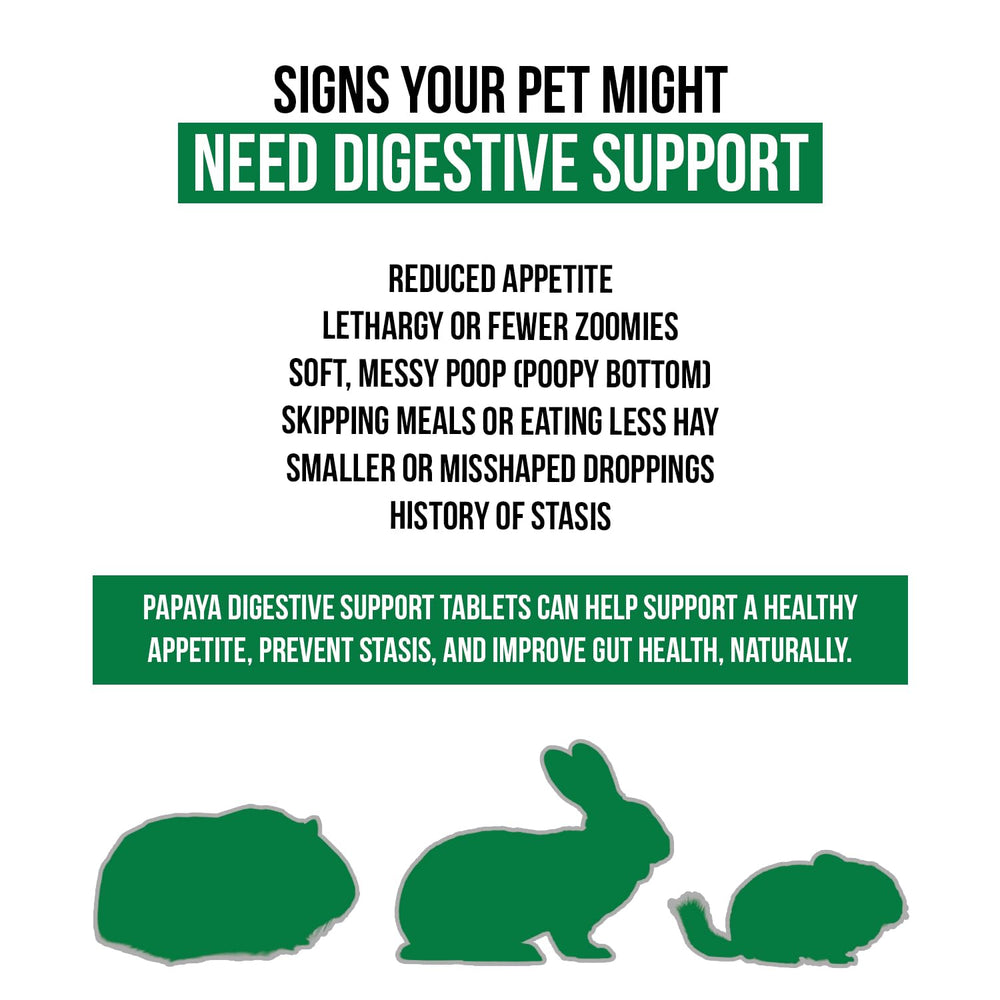Sherwood Pet Health digestive papaya tablets closeup highlighting natural enzymes from fruit.