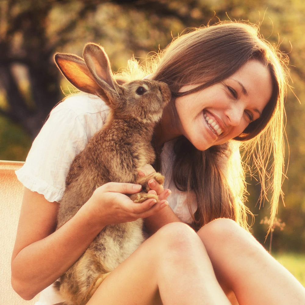 Sherwood Pet Health natural ingredients closeup emphasizes whole foods