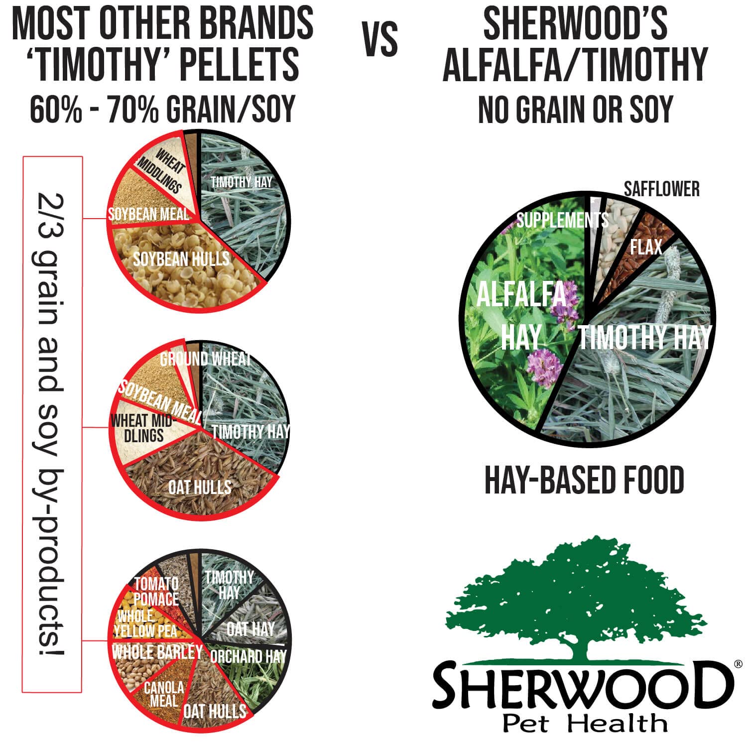 Sherwood Pet Health rabbit eating action demonstrates daily hay-forward feeding.