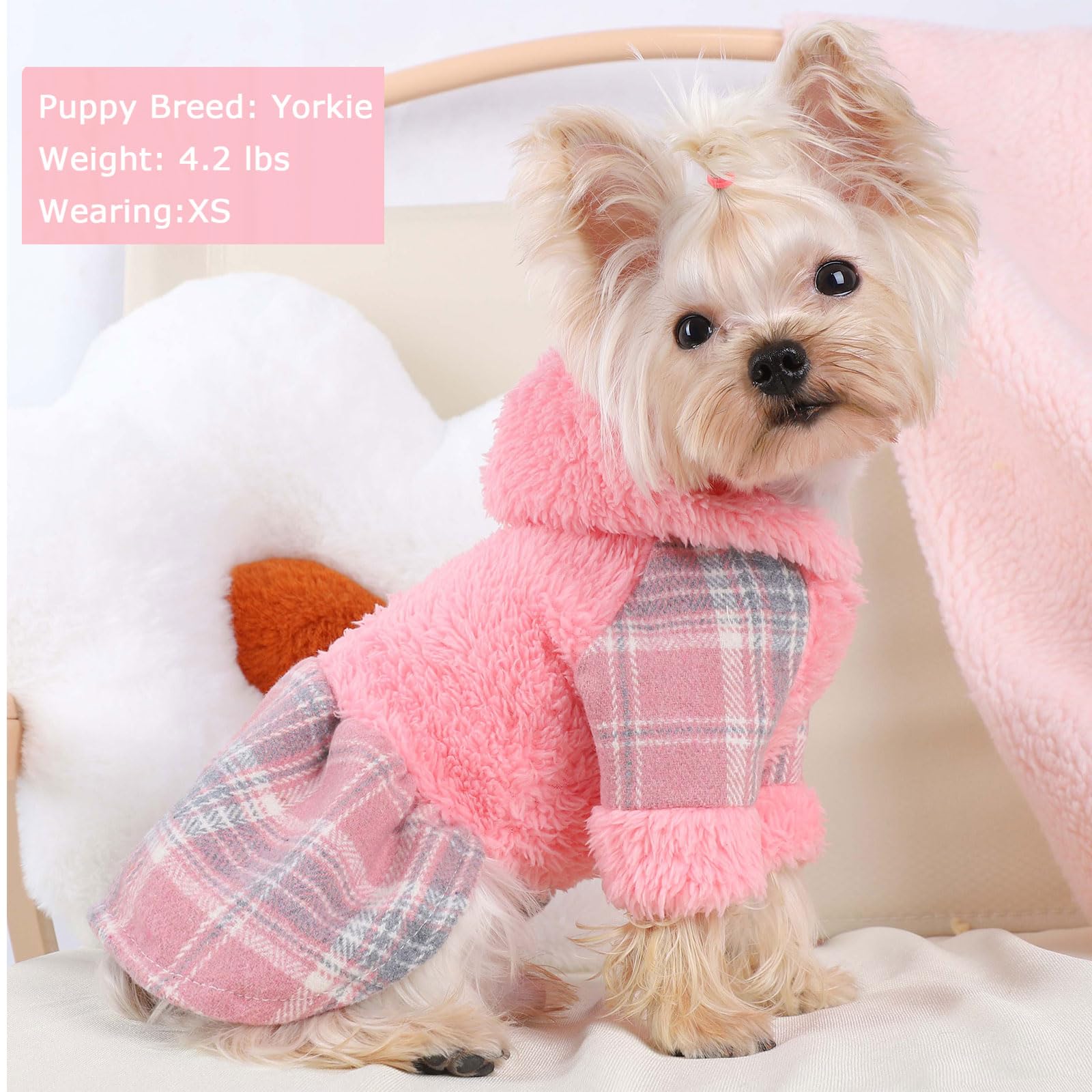 Shifenmei dog hoodie with pocket showcases practical warmth during outdoor adventures.