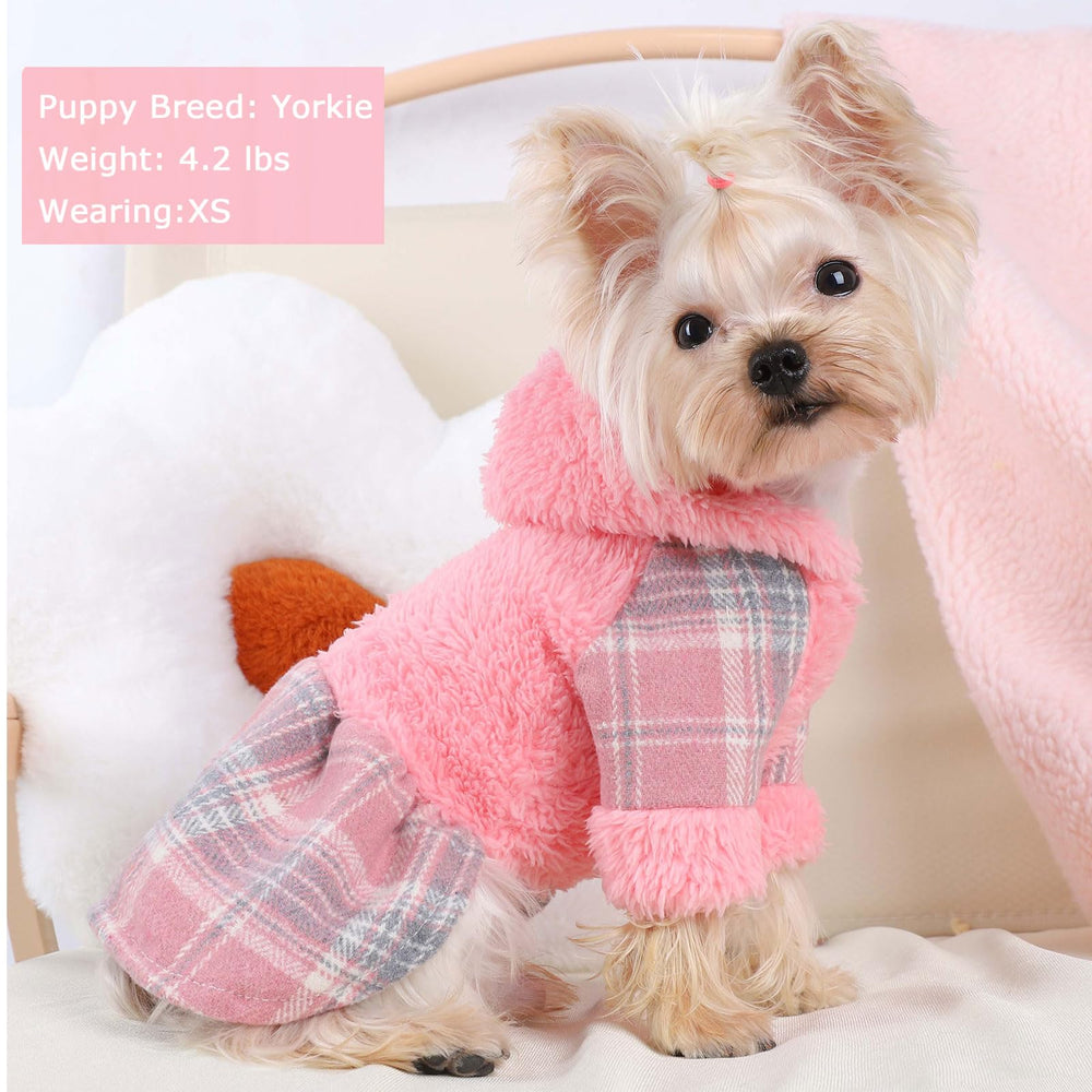 Shifenmei dog hoodie with pocket showcases practical warmth during outdoor adventures.