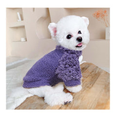 Shifenmei dog sweater turtleneck detail showing cozy warmth for chilly walks