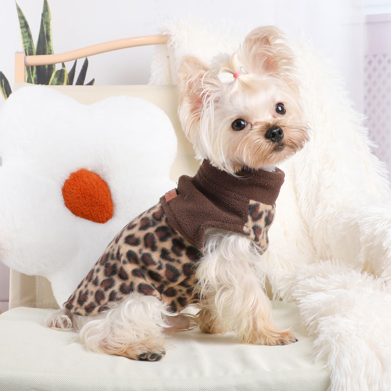 Shifenmei leopard dog sweater pullover design offers easy on off without snagging fur