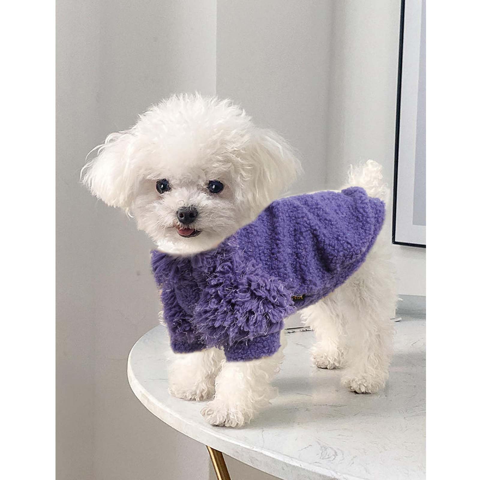 Shifenmei small dog winter coat hoodie on model for cold days