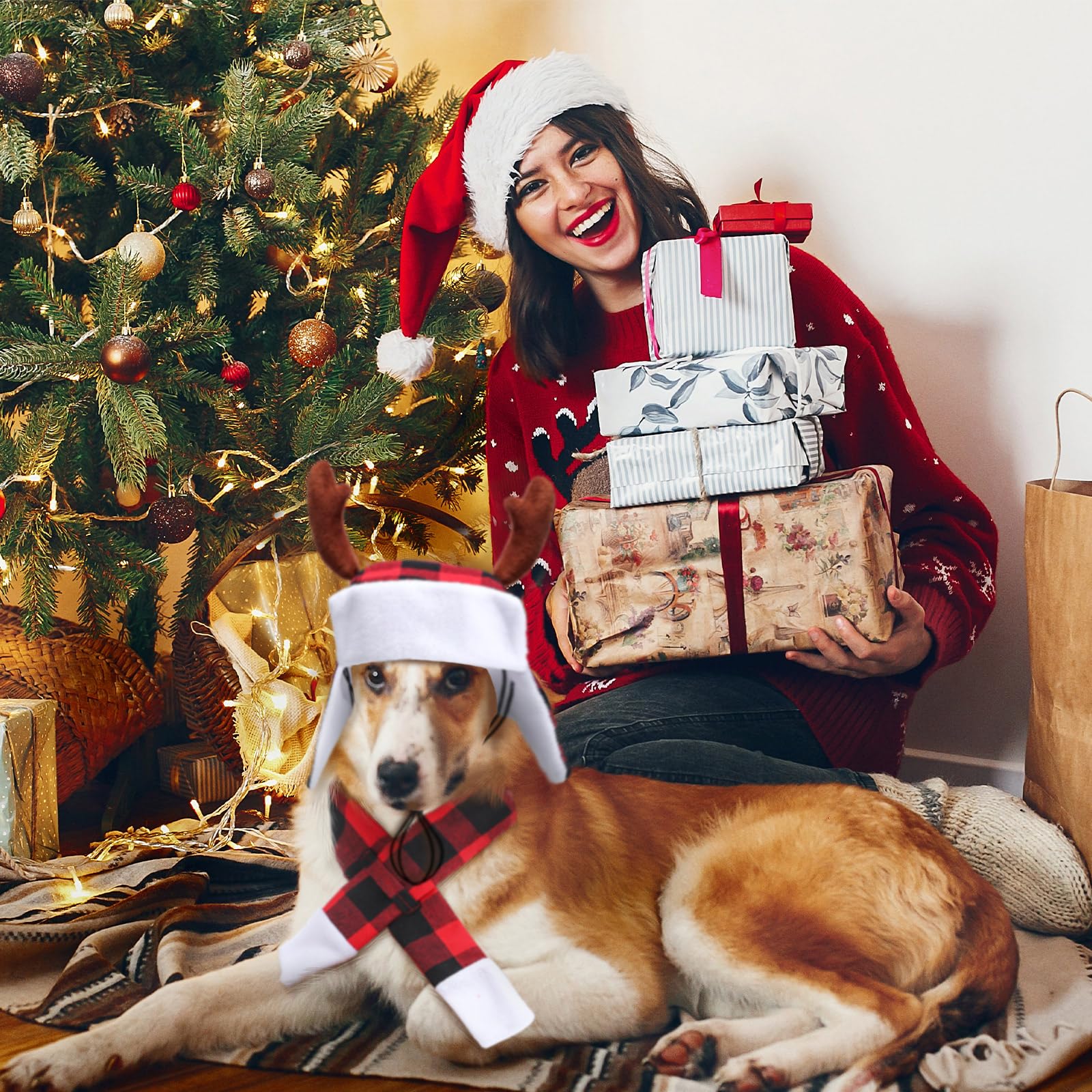 Shihanee dog Christmas costume set offers complete holiday outfits
