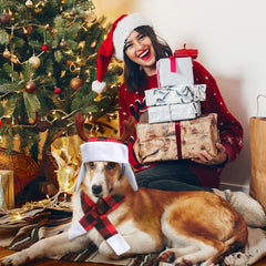 Shihanee dog Christmas costume set offers complete holiday outfits