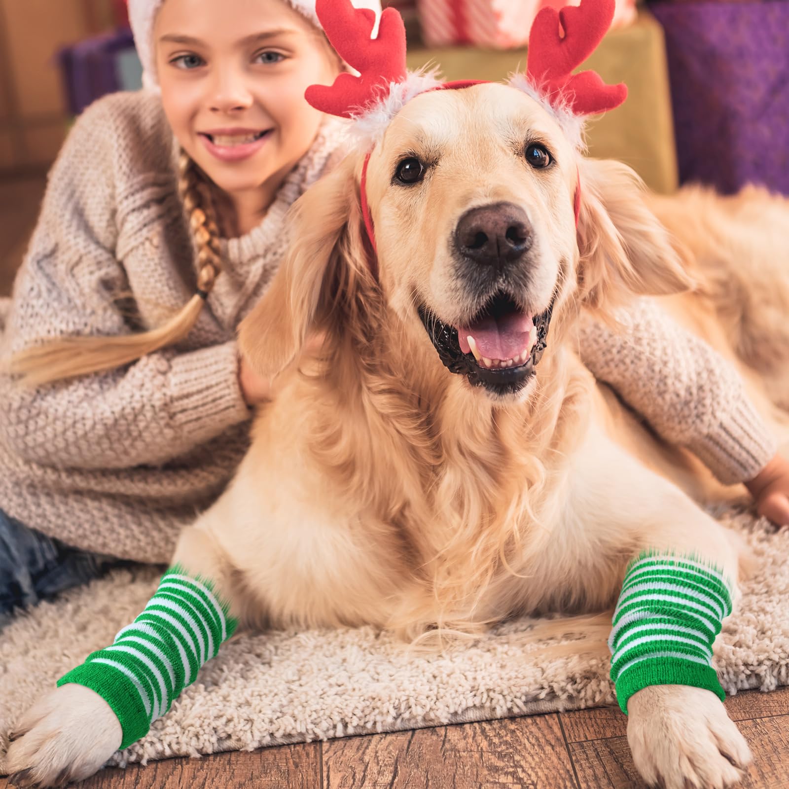 Shihanee dog leg warmers worn during walks or home lounging for flair.
