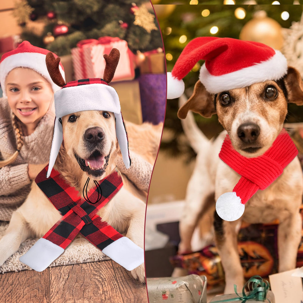 Shihanee holiday pet photo setup-ready outfit for family moments