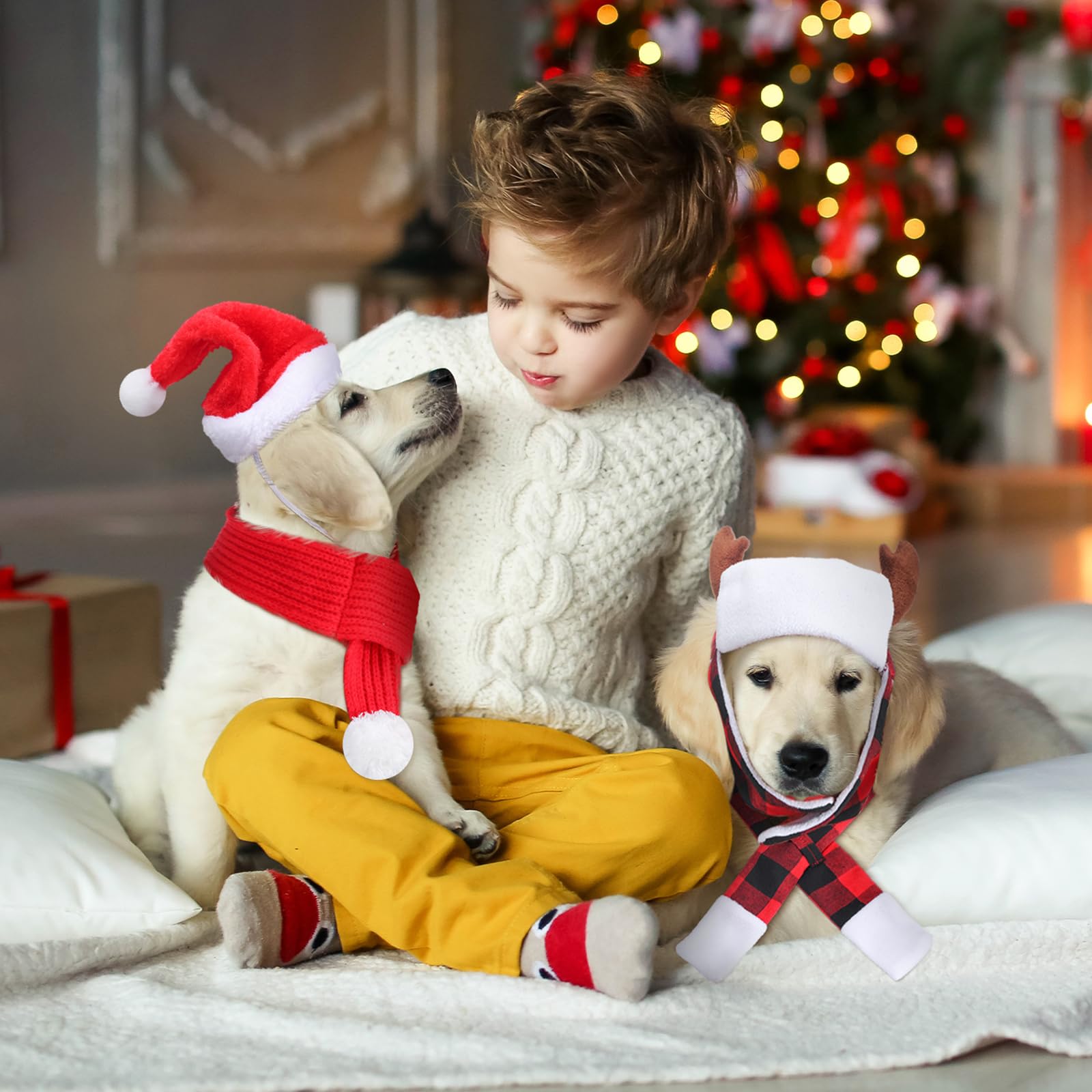 Shihanee packaged pet costume set makes gifting easy for pet lovers