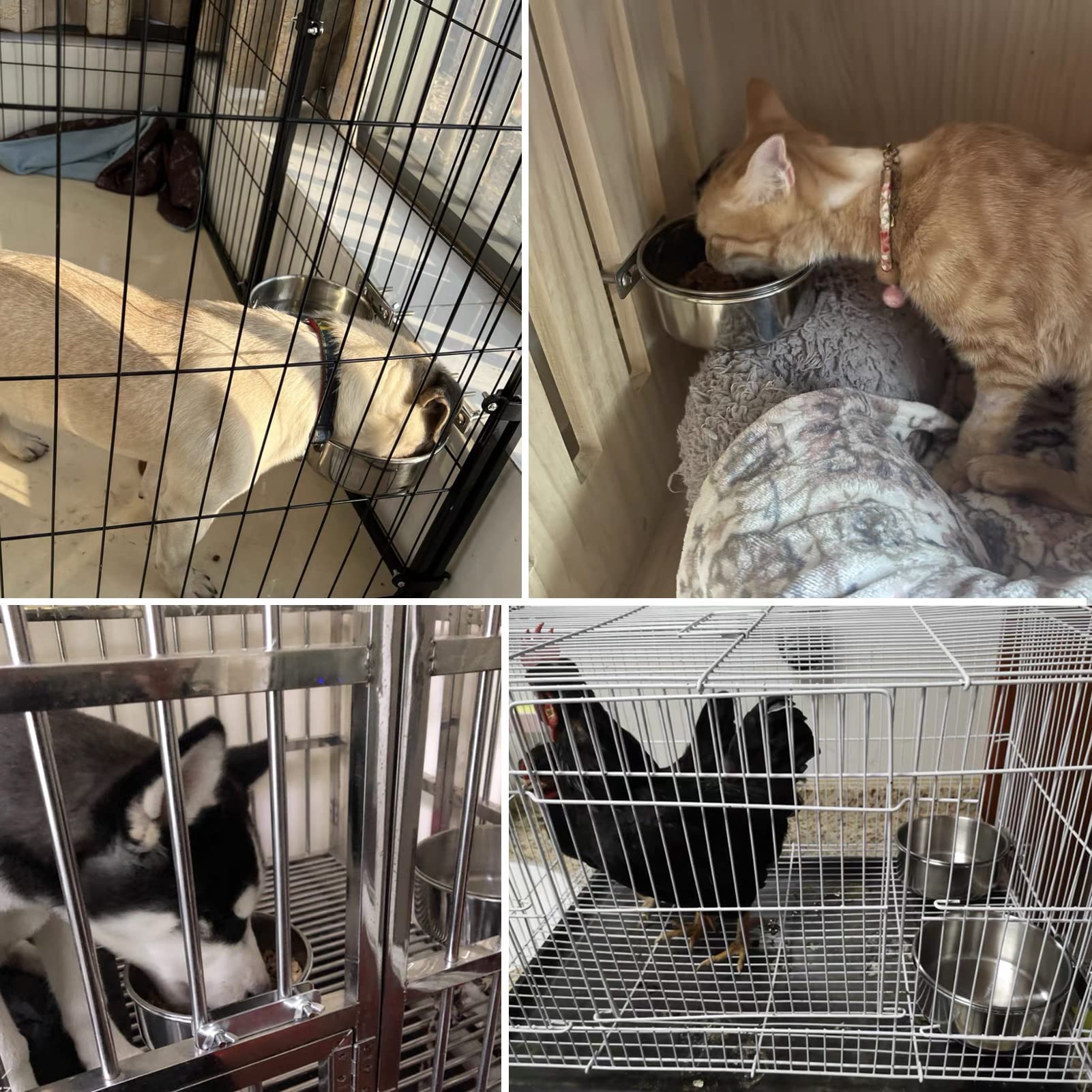 ShineMe crate feeding set suitable for dogs and cats for tidy meals