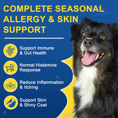 SHINEPAWS Allergy Chews bowl-taste-chicken shows tasty dosing for coat care and comfort.