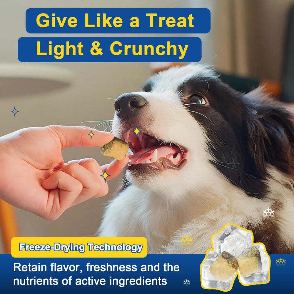 SHINEPAWS Allergy Chews dog-coat-shine shows omega-3 rich formula supporting coat health.