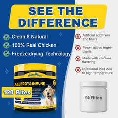 SHINEPAWS Allergy Chews packaging-closeup emphasizes grain-free formula ideal for sensitive diets.