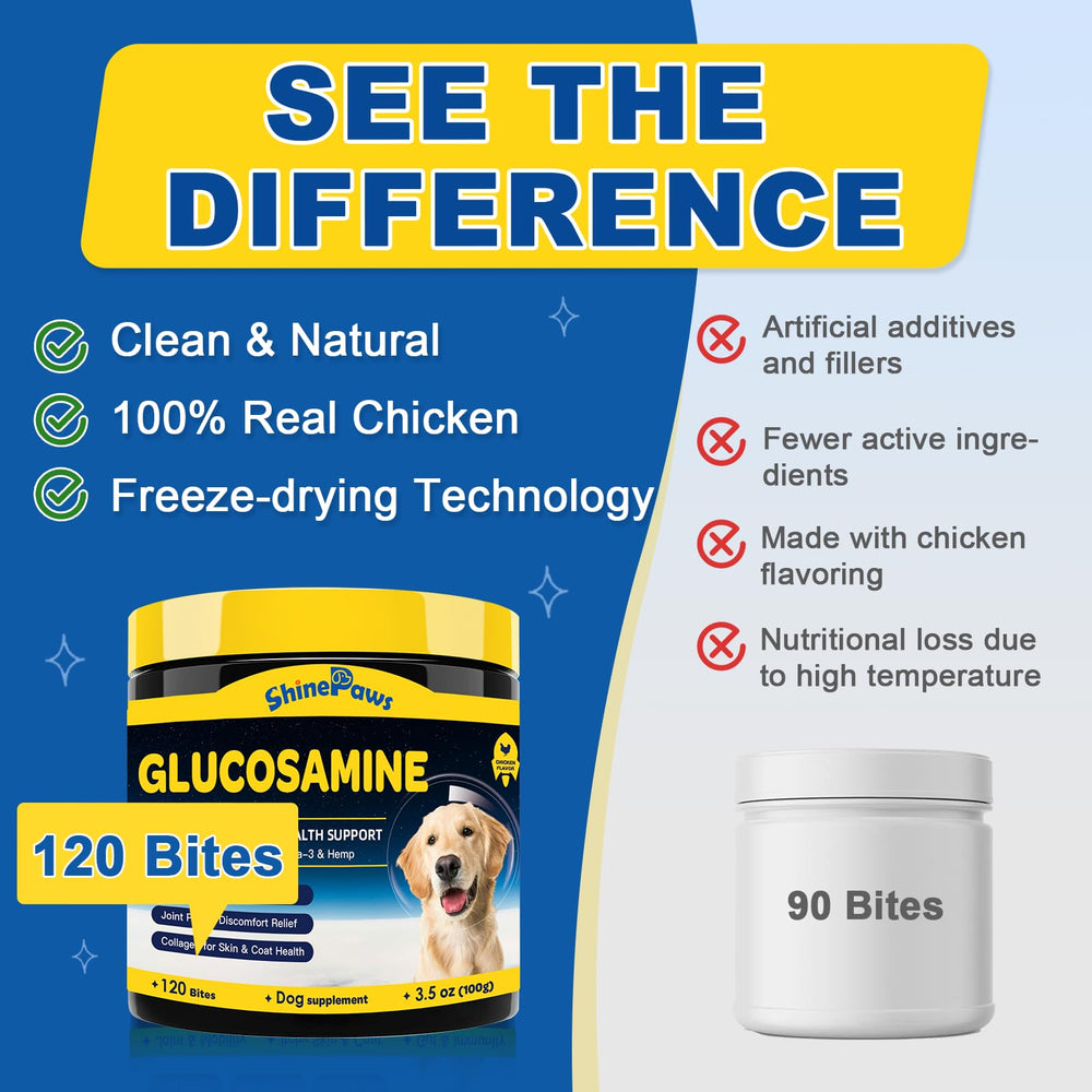 SHINEPAWS digestive enzymes in dogs image aid absorption and gentle digestion.