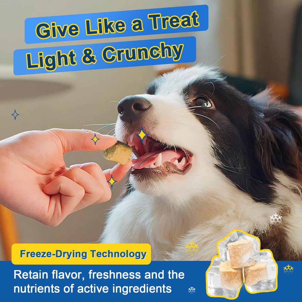 SHINEPAWS omega-3-rich dog supplement image supports joint comfort and skin health.