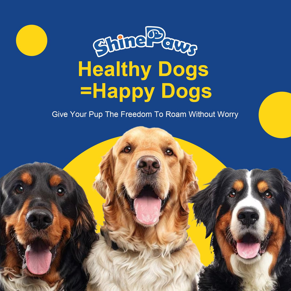 SHINEPAWS Omega3 dog enjoying treat after meal eases routine supplementation