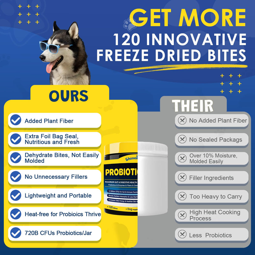 SHINEPAWS 12-billion-CFU bites image for stronger gut bacteria