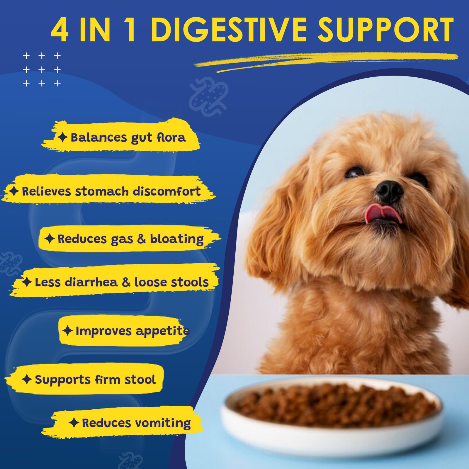 SHINEPAWS probiotics immune support vitamins image for overall vitality