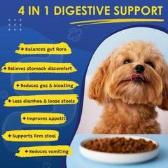 SHINEPAWS probiotics immune support vitamins image for overall vitality