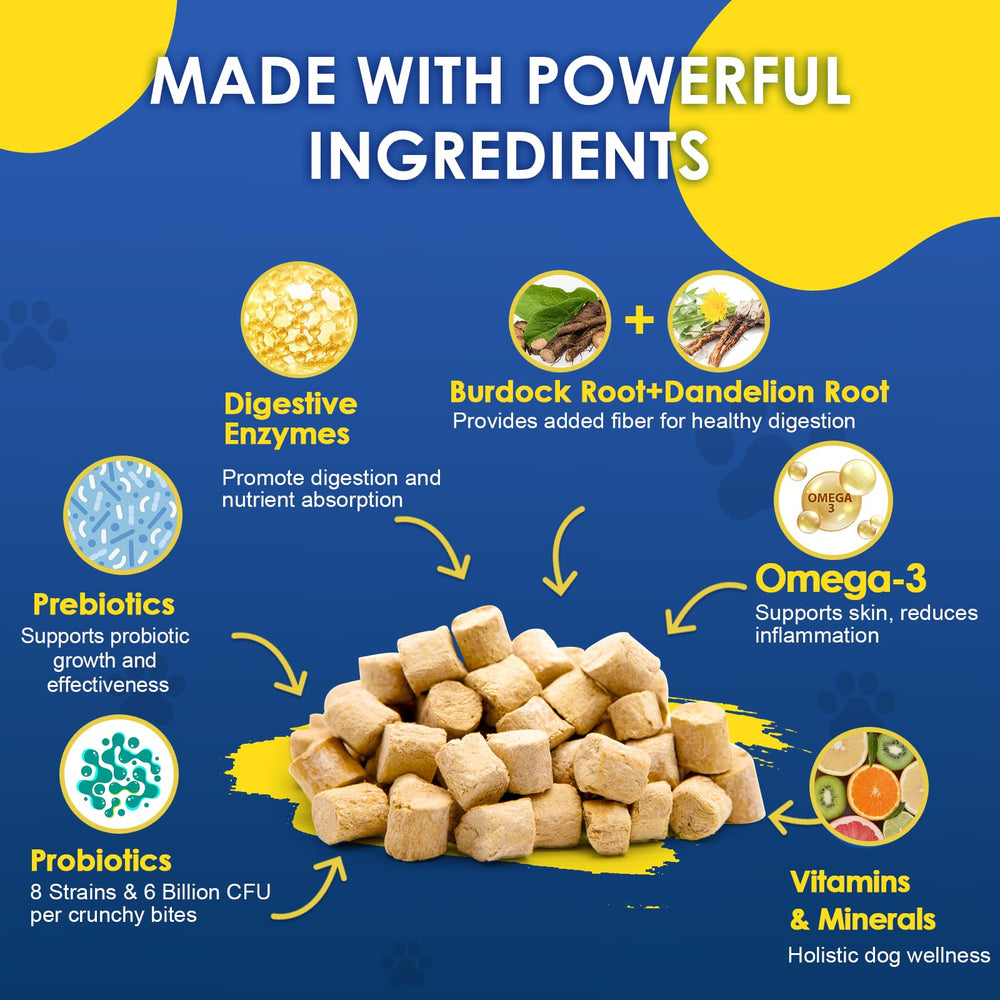 SHINEPAWS natural ingredients image with burdock, dandelion, psyllium for gut health