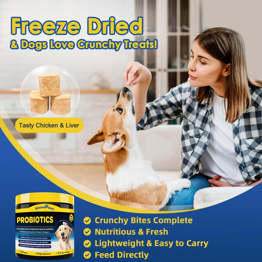 SHINEPAWS puppy and adult dog probiotics versatile use across life stages