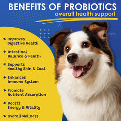 SHINEPAWS dog probiotics skin and coat image may support itchy skin relief