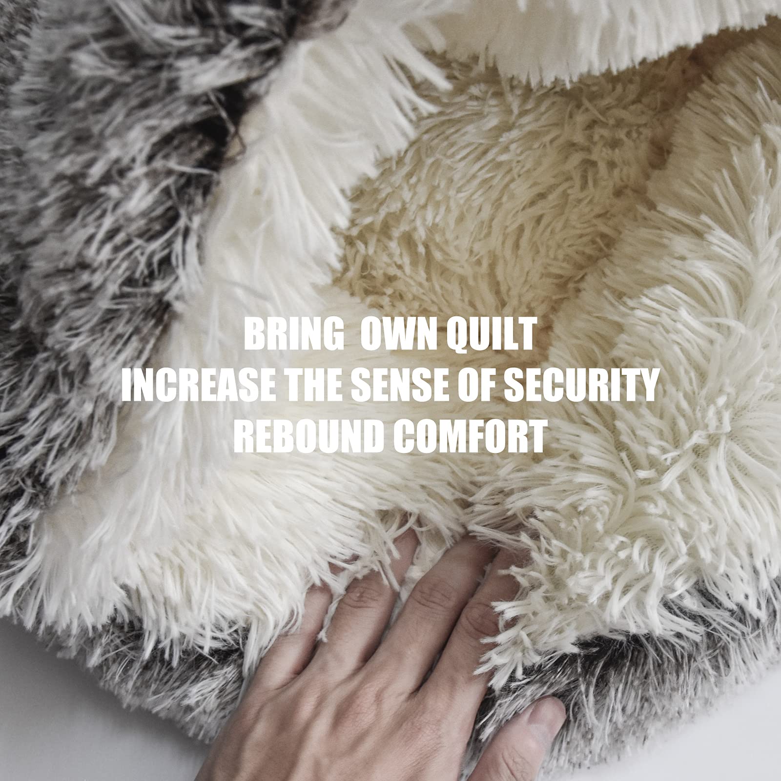 ShinHye size options image shows fit for small cats or dogs up to 26 inches.