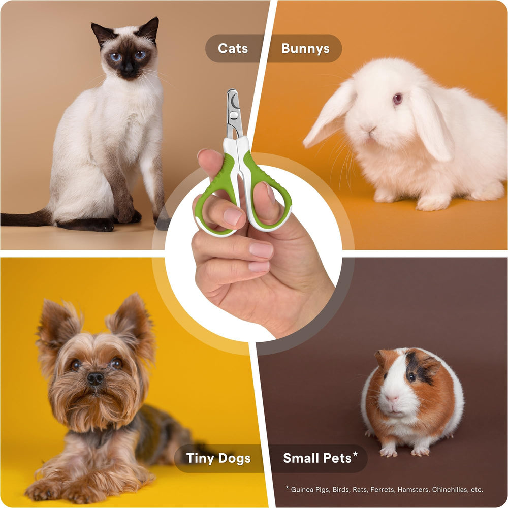 SHINY PET bird nail trimmer for gentle clipping of avian nails.