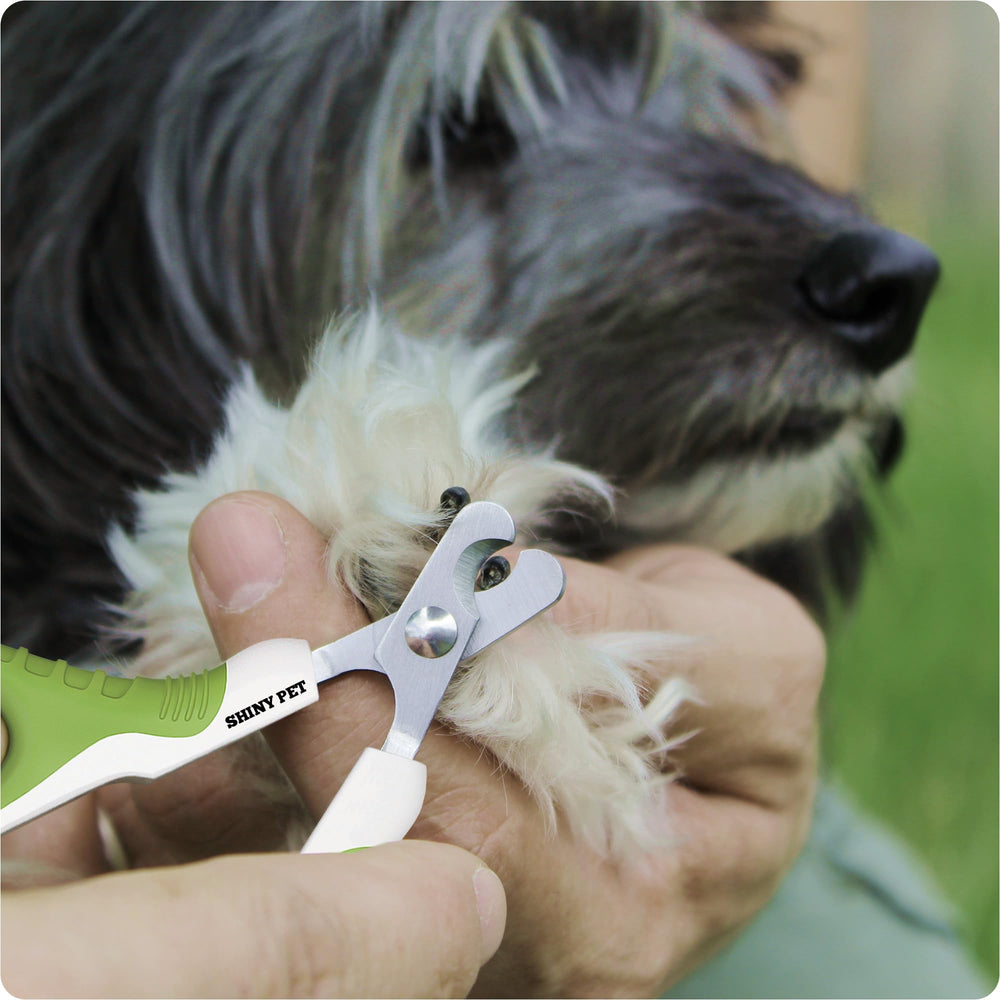 SHINY PET nail clippers packaging highlights furniture protection benefits at home.