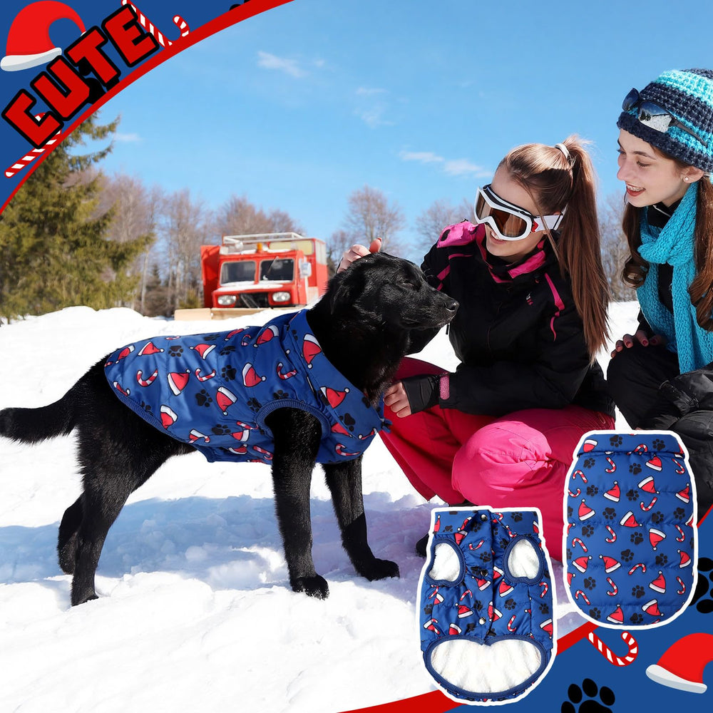 Shinylin Christmas dog coat blue small button closure for easy on/off