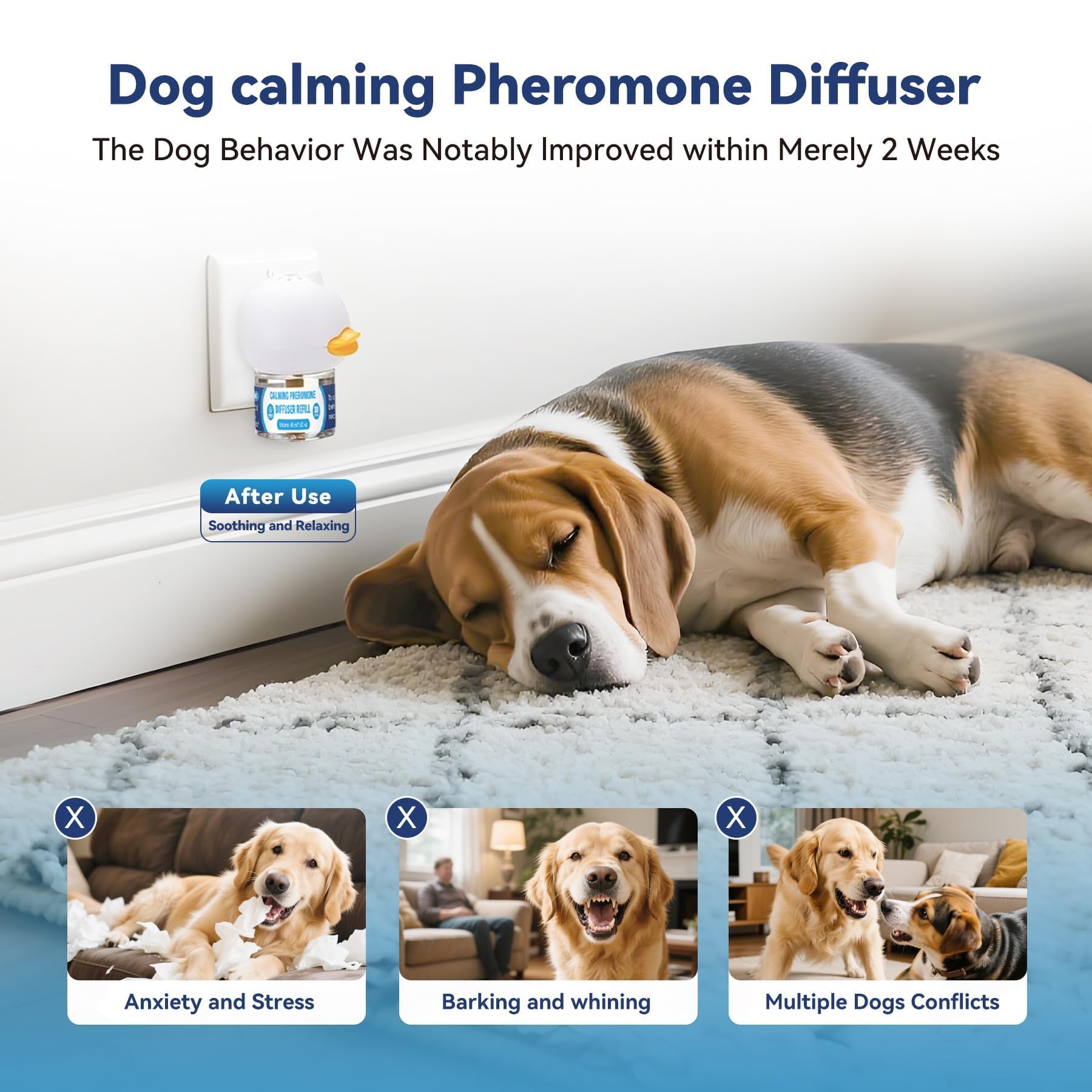 SHIUMORE dog relaxing beside diffuser highlights mood improvement and comfort