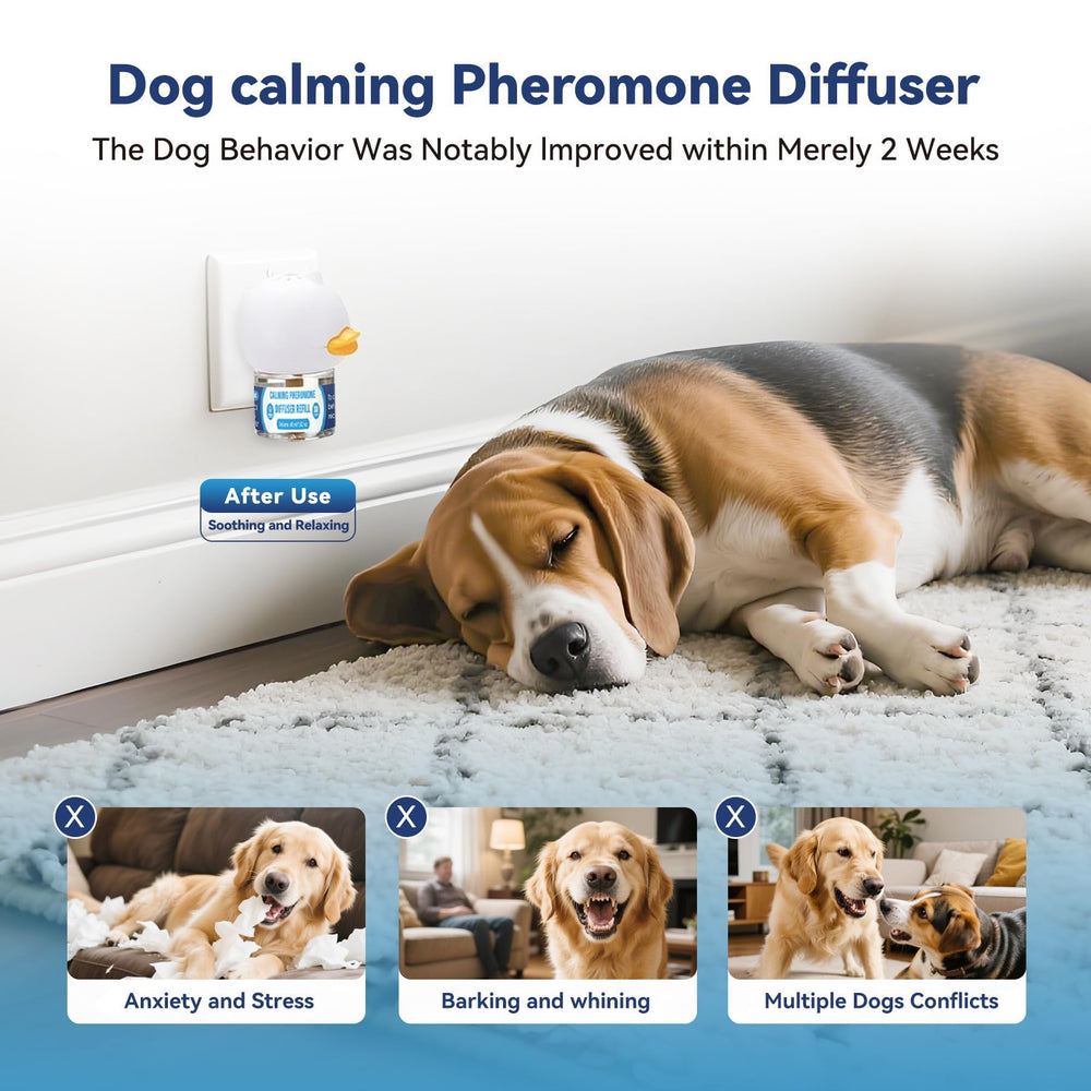 SHIUMORE dog relaxing beside diffuser highlights mood improvement and comfort