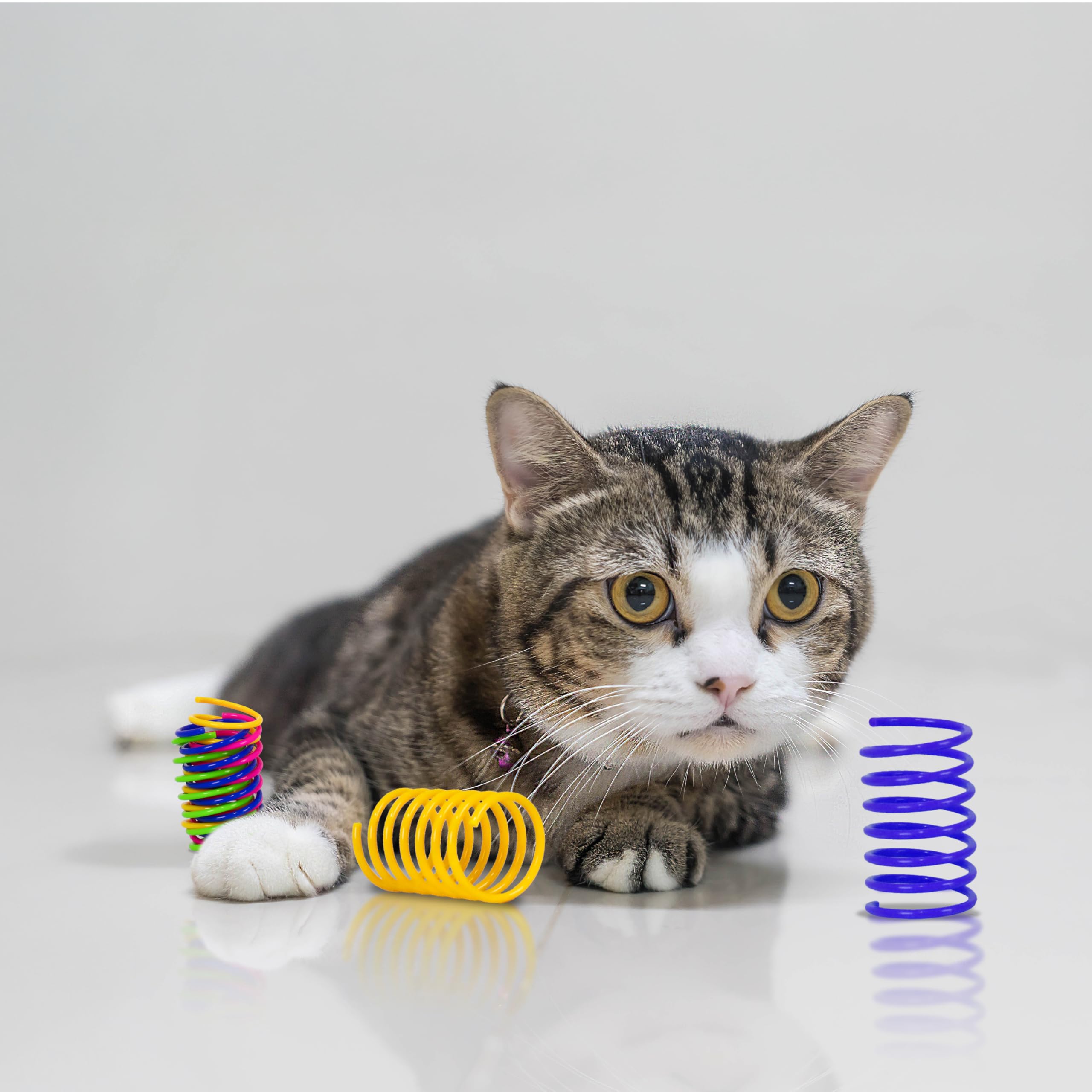 Shizhoo cat spring toy non-toxic materials for worry-free enjoyment