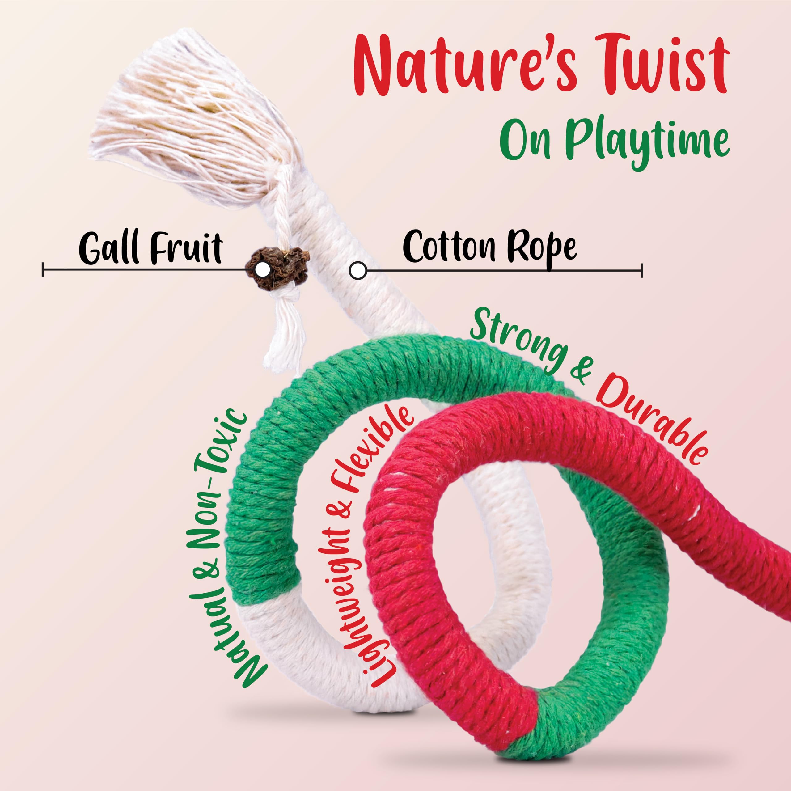 Shizhoo cat teething ropes in action highlights relief through gentle gnawing and exploration.