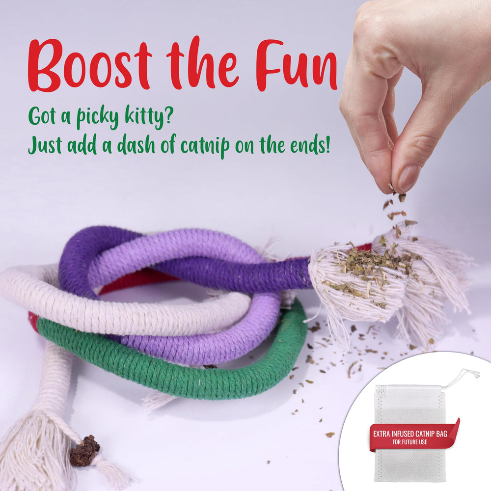 Shizhoo cat toy with cotton tassels demonstrates durable, safe play during energetic sessions.