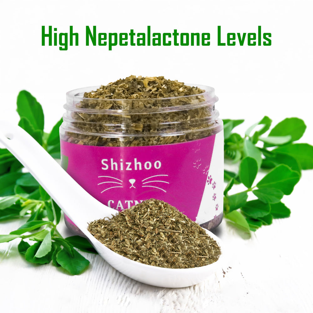 Shizhoo Catnip aroma closeup showcases irresistible scent for engaging play sessions.