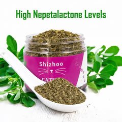 Shizhoo Catnip aroma closeup showcases irresistible scent for engaging play sessions.