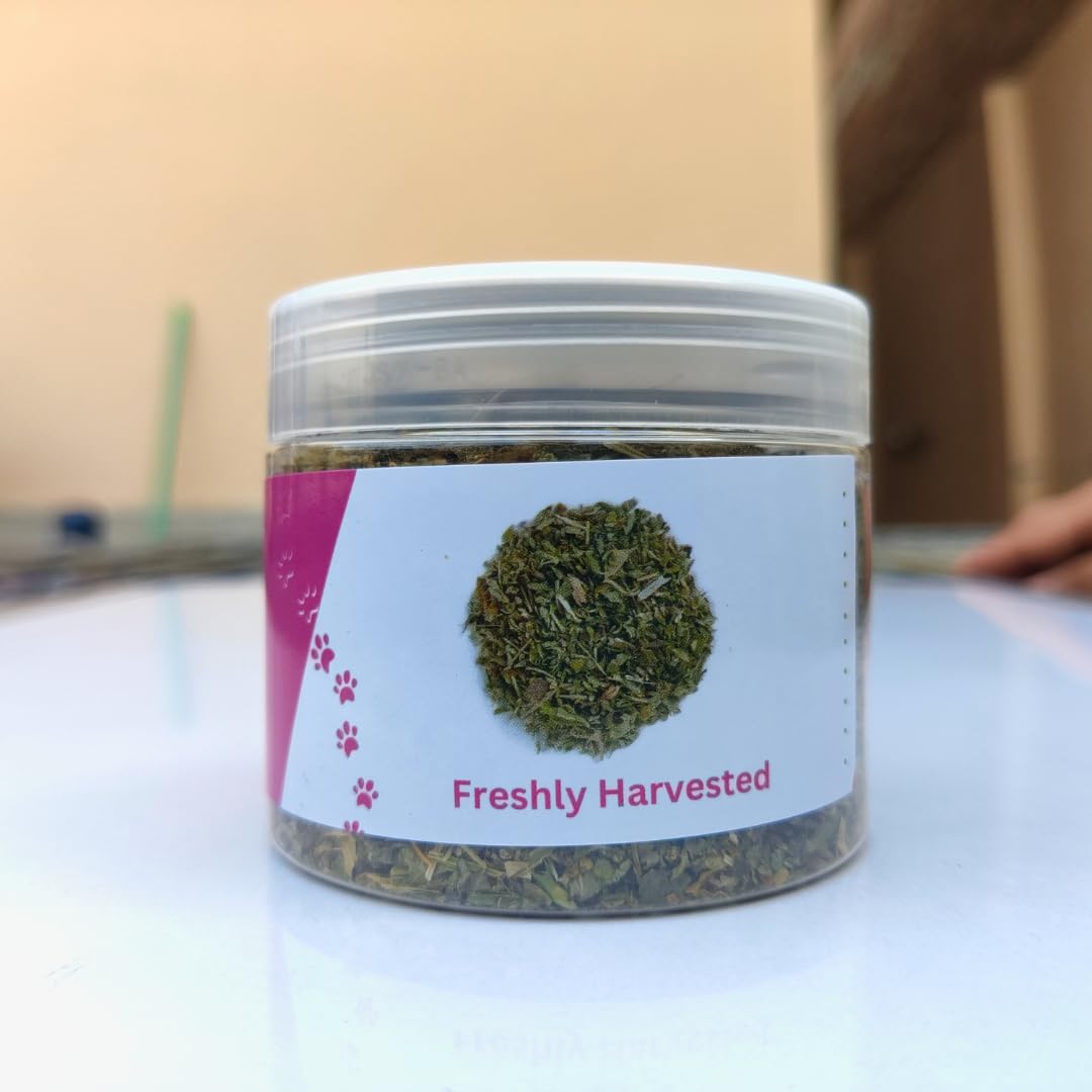 Shizhoo catnip-aroma-release scent opening for curious cats