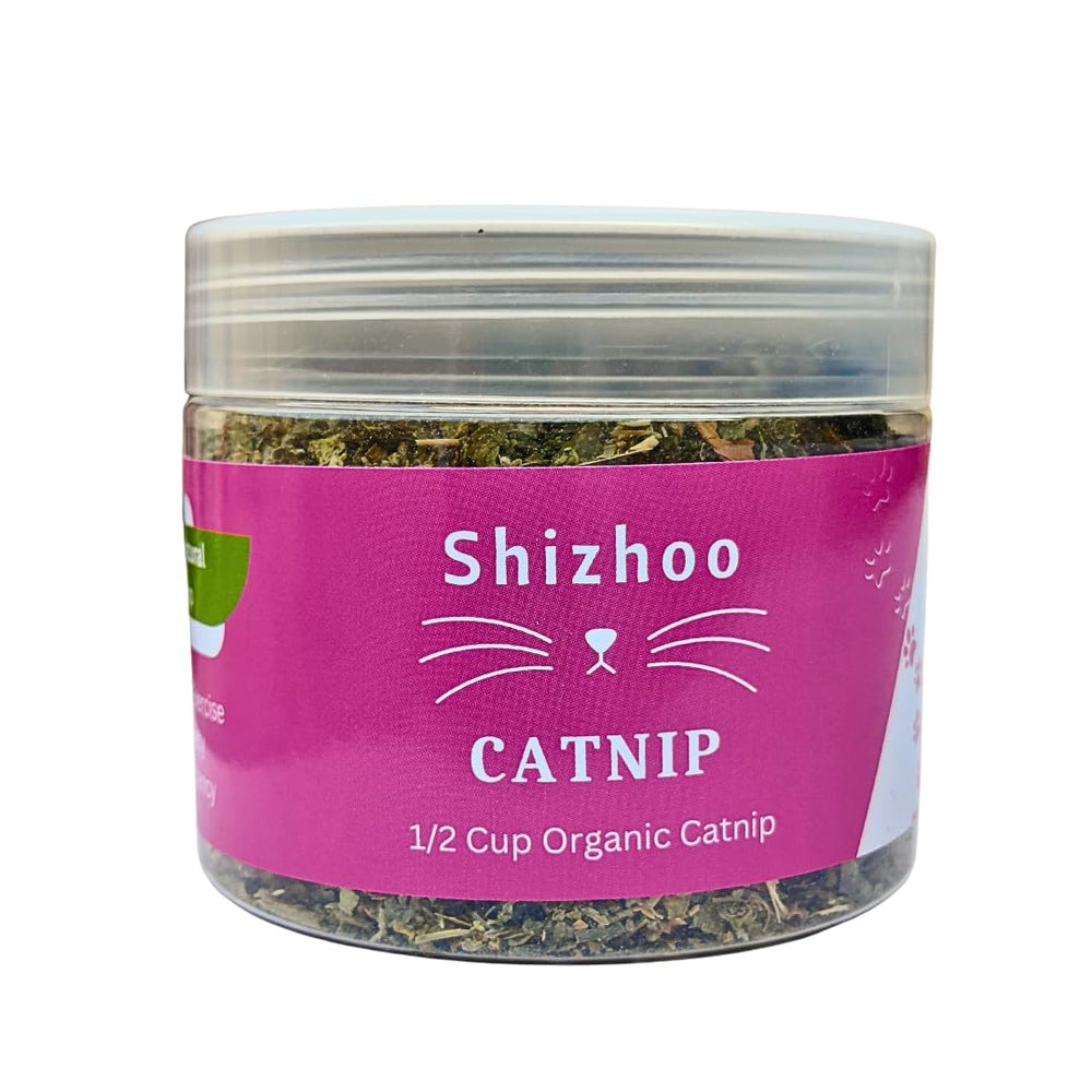 Shizhoo catnip-cat-bed-comfort relaxed cat after playtime